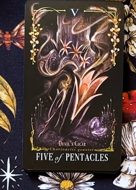Midnight Magic: A Tarot Deck of Mushrooms